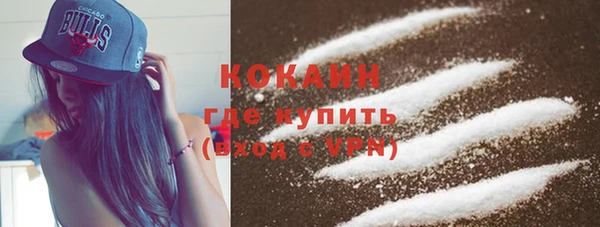apvp Новозыбков