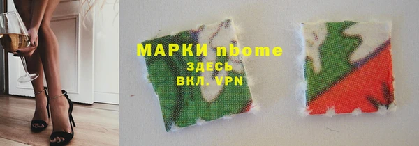 эйфоретик Няндома