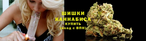 apvp Новозыбков