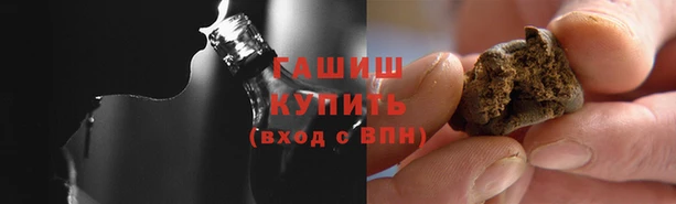 эйфоретик Няндома