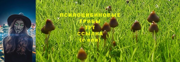 дурь Нягань