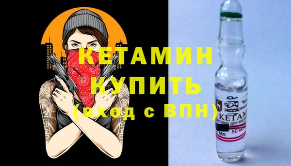эйфоретик Няндома