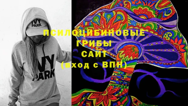 ГАЛЛЮЦИНОГЕННЫЕ ГРИБЫ Нязепетровск